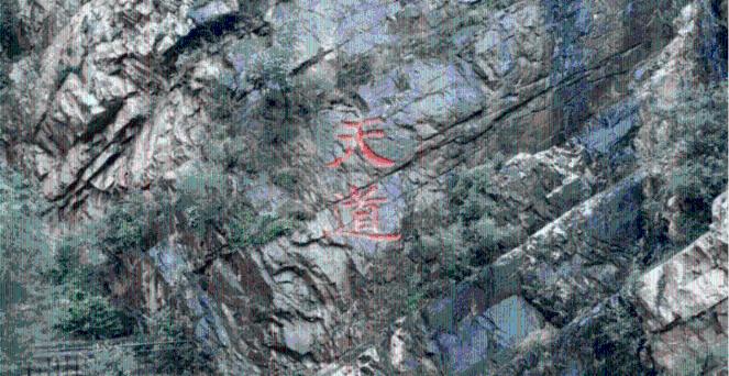 专业问答网站学校老师强令必须去合作画室,我该怎么办?,解答你的疑惑